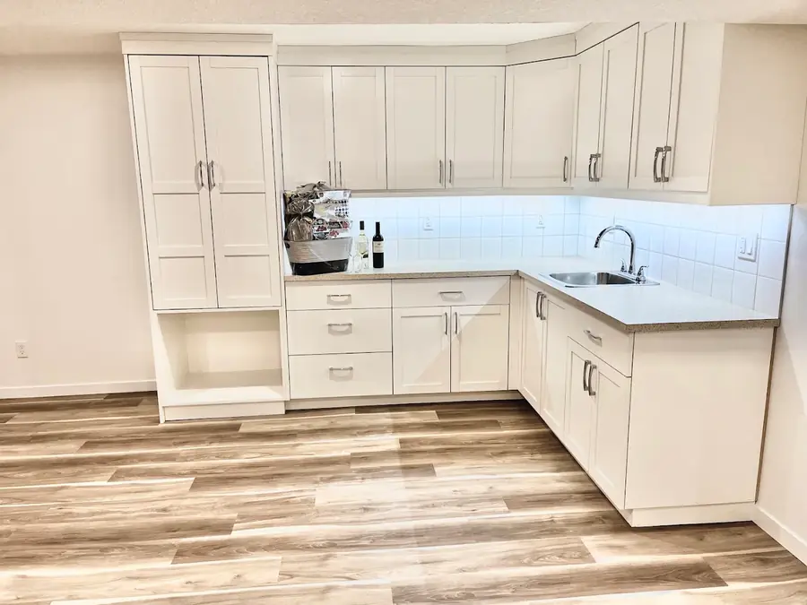 Garage & Basement Suites by Alliance Renovations